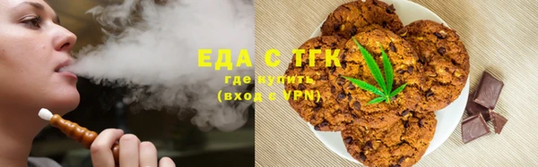 сатива Инта