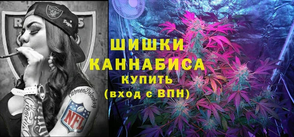 стафф Зеленокумск