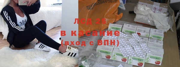 сатива Инта