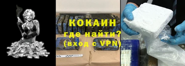 сатива Инта