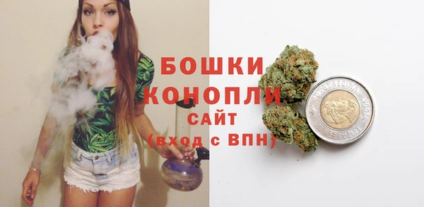 сатива Инта