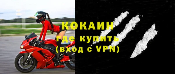 сатива Инта