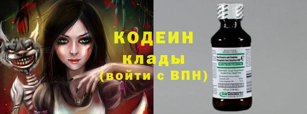 сатива Инта