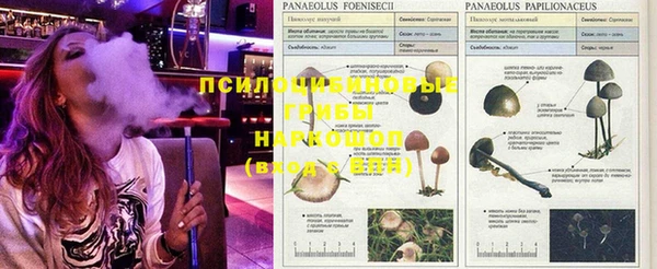круглые Зеленодольск