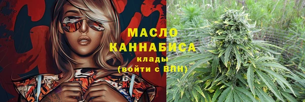 сатива Инта