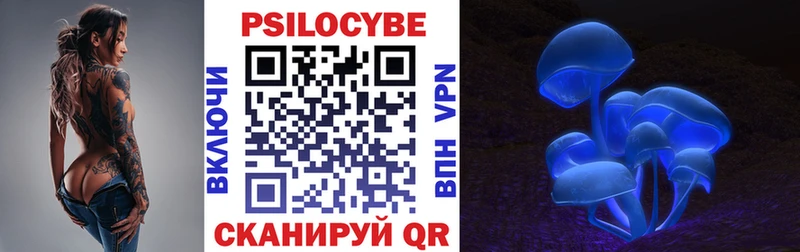 Галлюциногенные грибы Cubensis Купить закладки Вилючинск